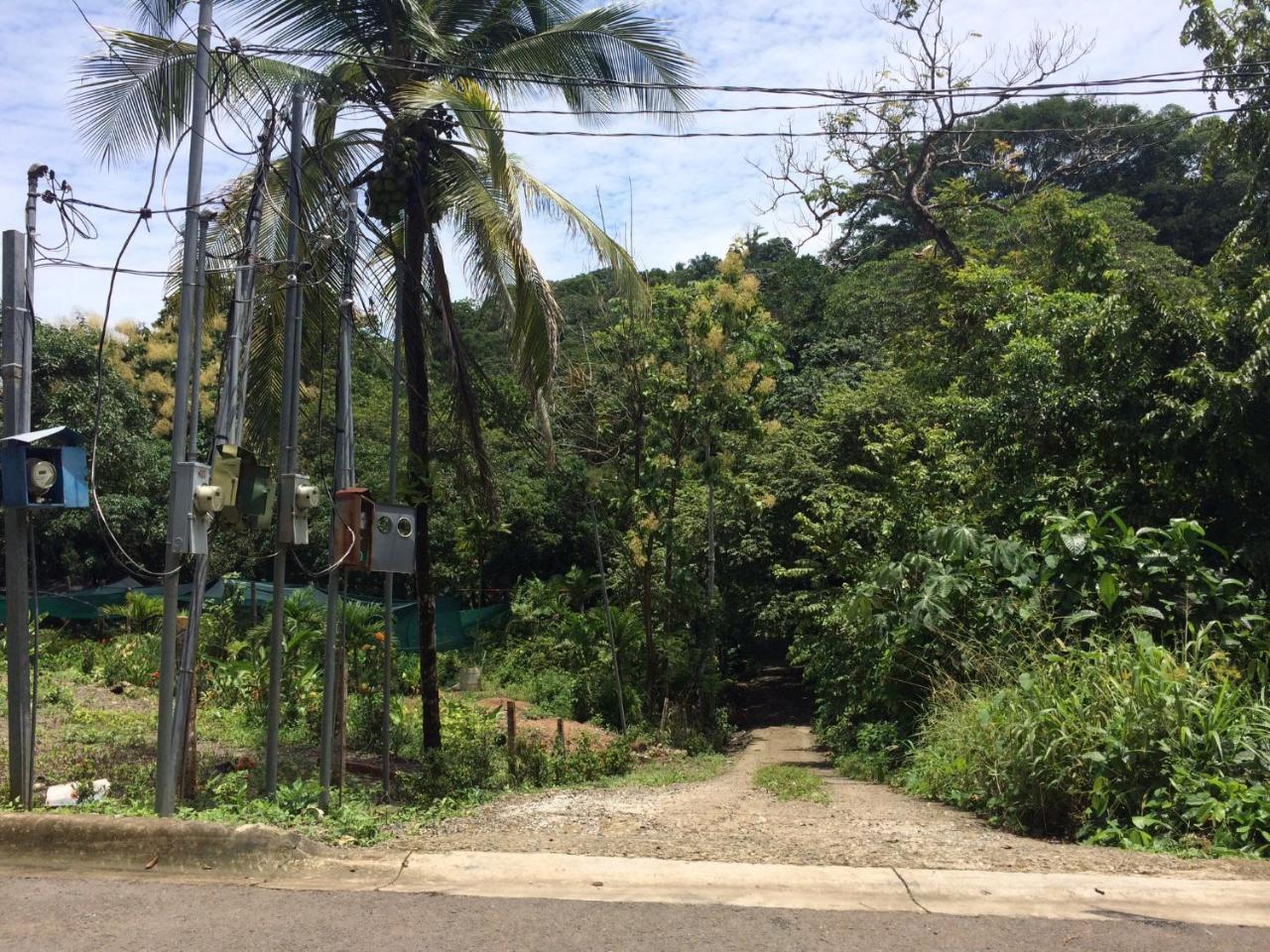 Casa Encantada Offers You Two-Bedroom House, 1 Tiny Apartment & 3 Double Rooms Manuel Antonio Esterno foto